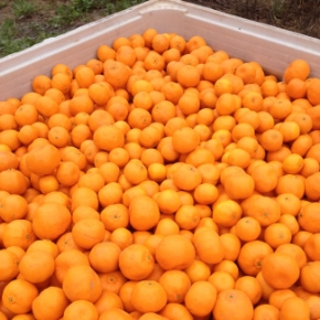 Picture for category Bulk Storage