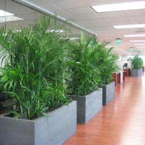 Picture for category Office Amenities