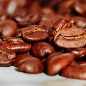 Picture for category Beverage Equipment