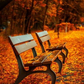 Picture for category Amenities