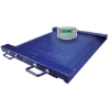 SW scale, similar to scale, weighing scale, digital scale from scaletronic, linvar.