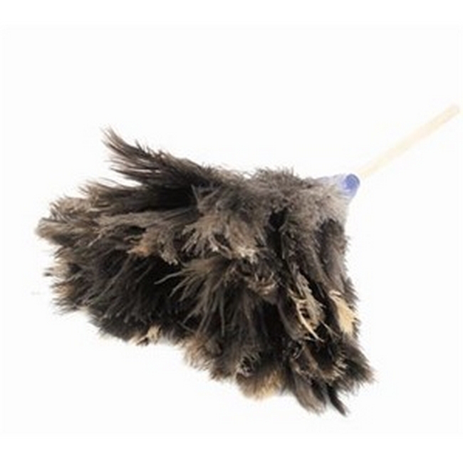 Picture of Feather Duster - Genuine Ostrich Feathers - Small Head - 45cm - Pack of 5 - F9000