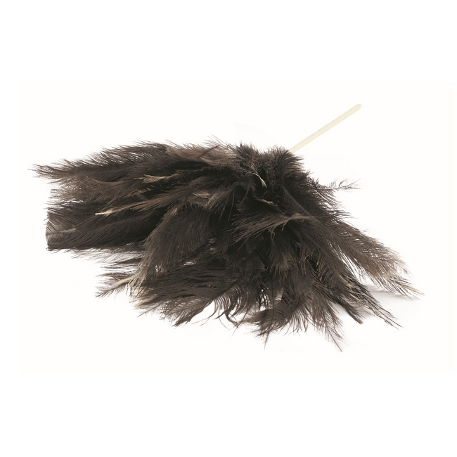 Picture of Feather Duster - Genuine Ostrich Chick Feathers - Large Head - 45cm - Pack of 5 - F9011
