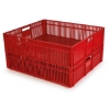 Supply Wise chick and confectionery, like plastic crate, plastic ideas, pioneer plastics.
