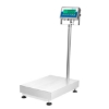 SW scale, like the scale, weighing scale, digital scale through takealot, richter scale.