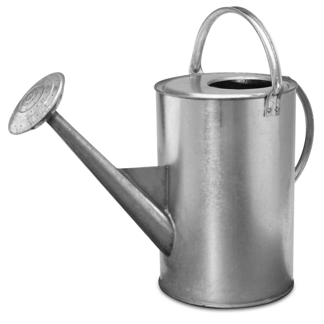 SW impala galvanised, similar to galvanised watering can, steel bucket from linvar,builders warehouse.