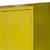 SW steel hazardous, like the hazardous cabinet, hazardous material cabinet through displayrite, makro, linvar.