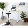 SW ergonomic stool, the same as the ergonomic chair, saddle chair with ergonomics direct, makro.