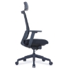SW ergonomic office, the same as the ergonomic chair, saddle chair with ergotherapy, cecil nurse.