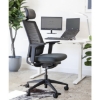 SW ergonomic office, compares with ergonomic chair, saddle chair via ergotherapy, cecil nurse.