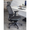 SW ergonomic office, like the ergonomic chair, saddle chair through ergotherapy, cecil nurse.