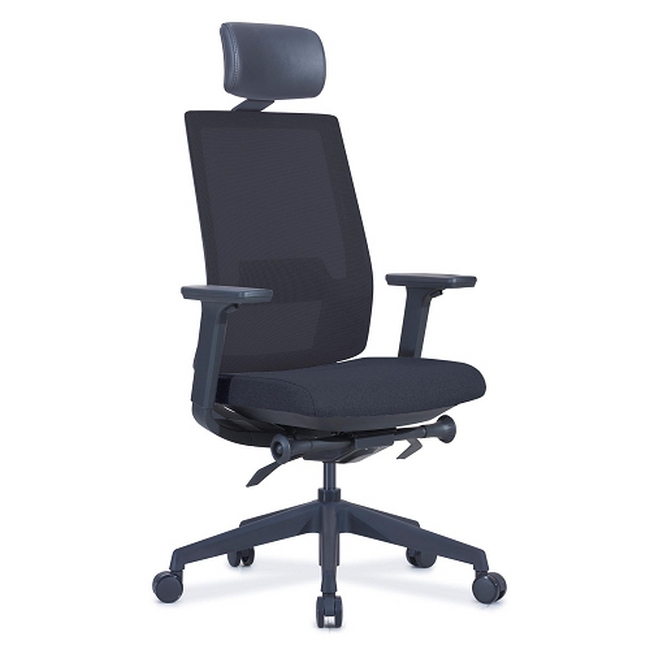 SW ergonomic office, similar to ergonomic chair, saddle chair from ergotherapy, cecil nurse.