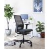 SW ergonomic office, like the ergonomic chair, saddle chair through game, waltons.