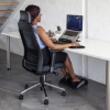 SW ergonomic executive, like the ergonomic chair, saddle chair through game, waltons.