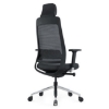 SW ergonomic executive, comparable to ergonomic chair, saddle chair by game, waltons.
