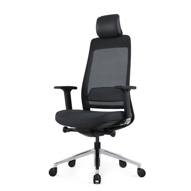SW ergonomic executive, similar to ergonomic chair, saddle chair from game, waltons.