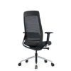 SW ergonomic executive, compares with ergonomic chair, saddle chair via ergonomics direct, makro.
