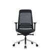 SW ergonomic executive, like the ergonomic chair, saddle chair through ergonomics direct, makro.