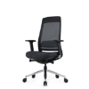 SW ergonomic executive, comparable to ergonomic chair, saddle chair by ergonomics direct, makro.