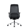 SW ergonomic executive, similar to ergonomic chair, saddle chair from ergonomics direct, makro.