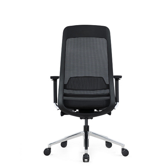 SW ergonomic executive, similar to ergonomic chair, saddle chair from ergonomics direct, makro.