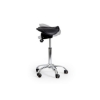 SW ergonomic saddle, similar to ergonomic chair, saddle chair from ergotherapy, cecil nurse.