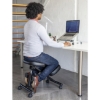 SW ergonomic, comparable to ergonomic chair, saddle chair by ergotherapy, cecil nurse.