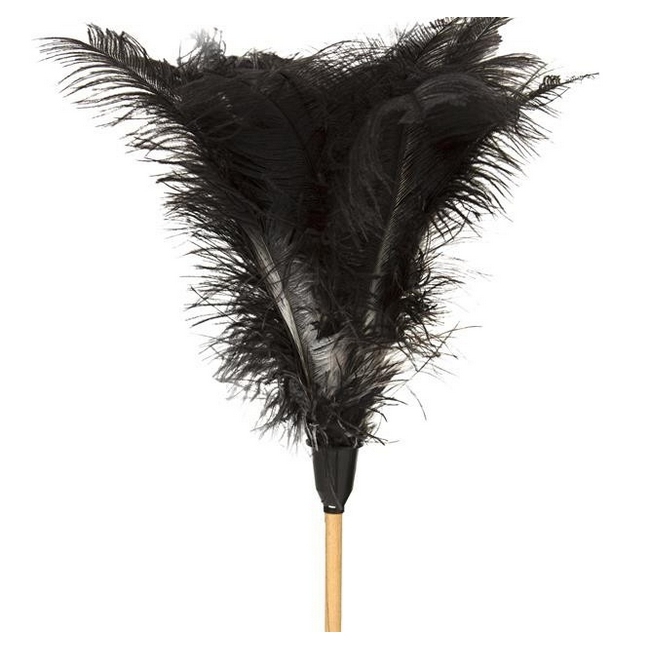 SW feather duster, similar to feather duster, duster, duster price from leroy merlin, takealot,.