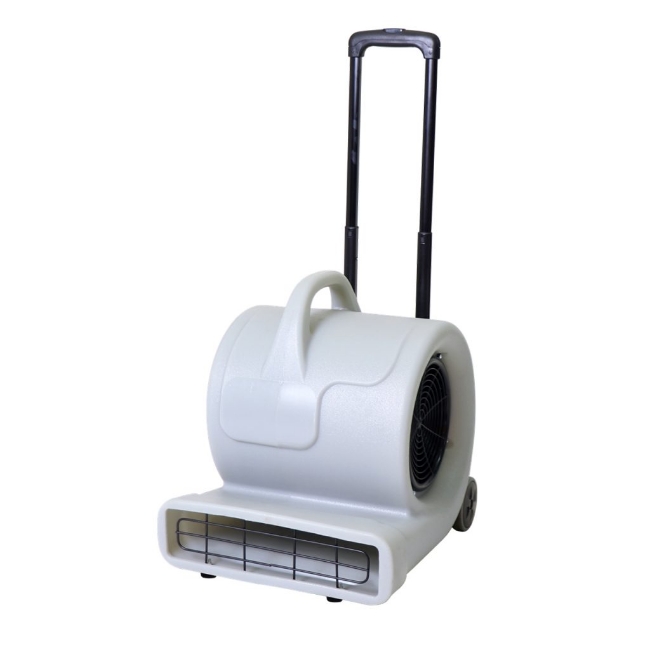 Picture of Carpet Blower Dryer - 850W - CMVA-1001