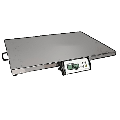 Bench And Floor Scales